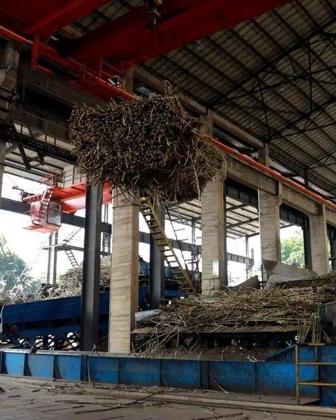 广农糖业：伶利制糖公司具备2万吨/年药用辅料糖生产能力