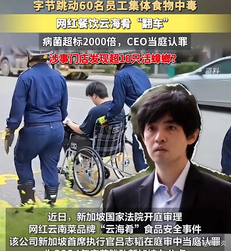 40岁云海肴创始人赵晗去世，研一创业，去年已卸任董事长