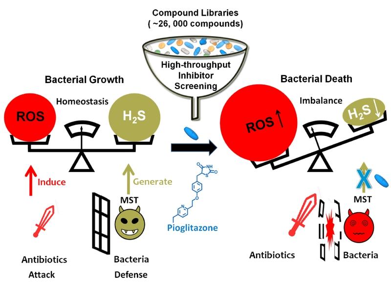 中国石化获得发明专利授权：“高通量低温等离子体放电设备和分解硫化氢的方法”