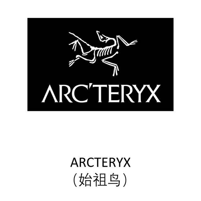 始祖鸟烟花秀：环保底线不只是“走流程”