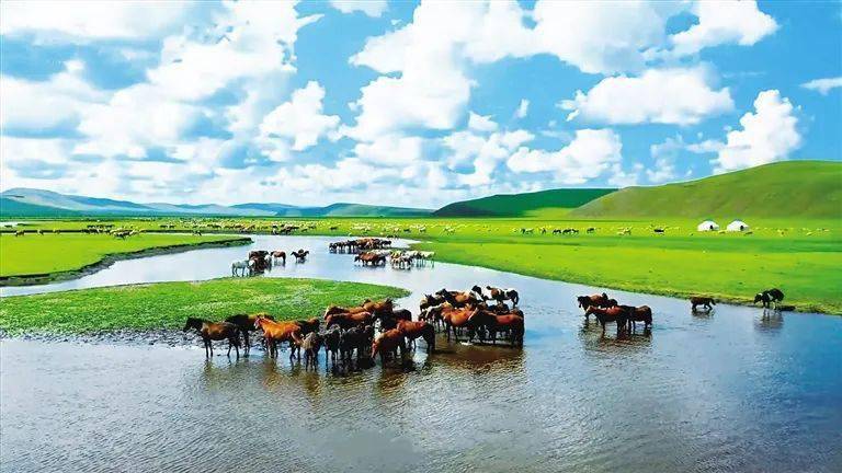 高质量发展看中国丨不仅是发电站更是生态枢纽 中国大坝的绿色蜕变