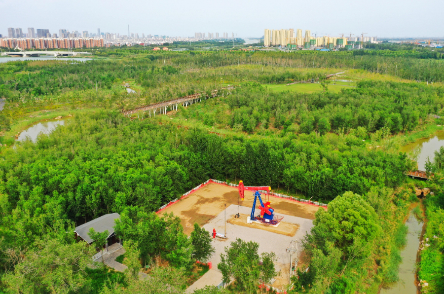 高质量发展看中国丨不仅是发电站更是生态枢纽 中国大坝的绿色蜕变