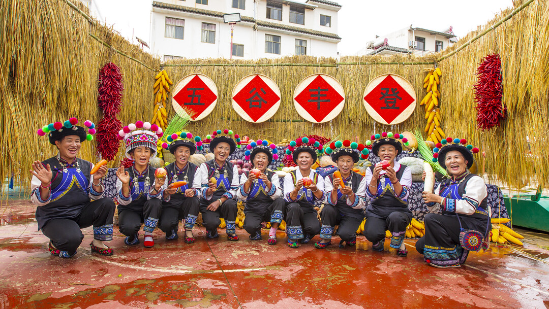 丰收节里看“丰”景