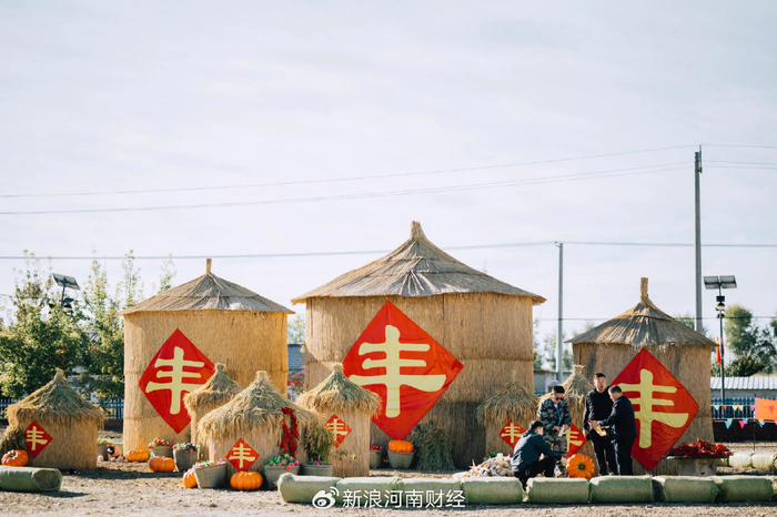 从丰收节看中国农业转型升级|丰收新图景