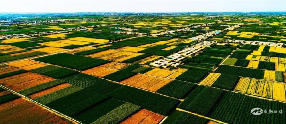 大力支持新疆农业农村高质量发展 扎实有力抓好推进乡村全面振兴各项工作