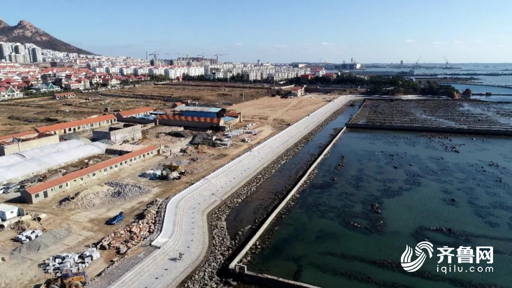 河口北部海岸带生态修复项目竣工验收