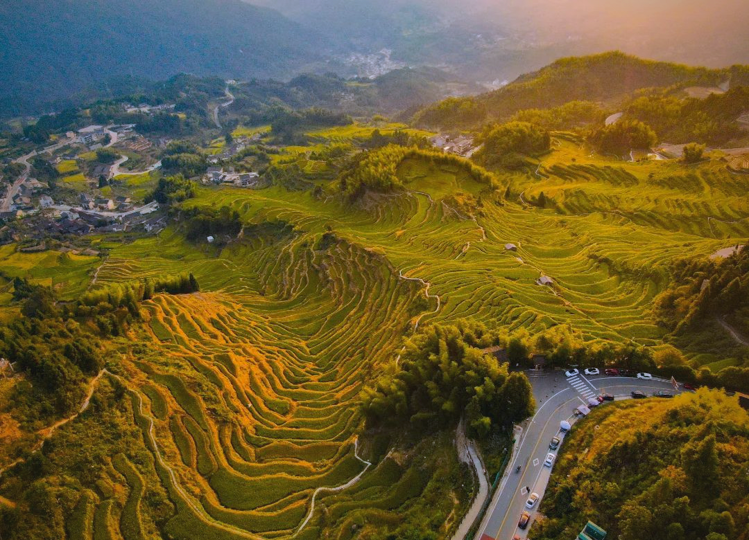 江西崇义:梯田稻浪金黄 国庆观赏正当时