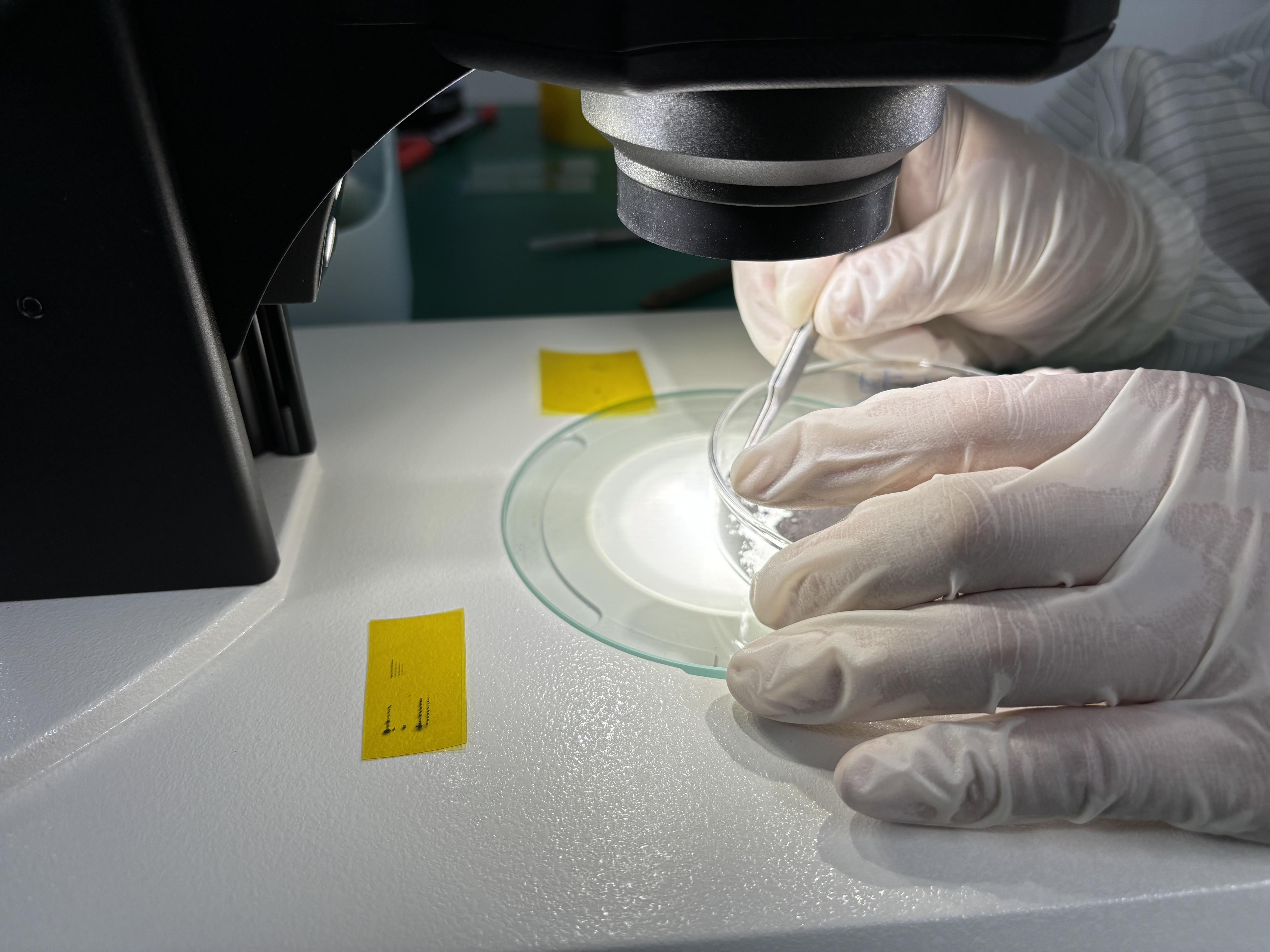 嫦娥六号月球样品研究新进展发布