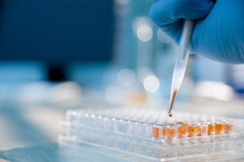 轩竹生物开始招股 主要聚焦肿瘤、消化创新药