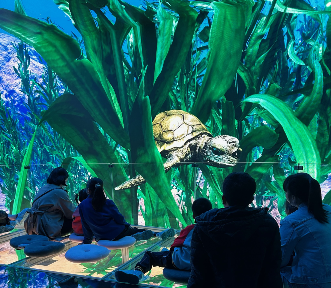 【ESG动态】银河娱乐（00027.HK）获华证指数ESG最新评级BBB，行业排名第10