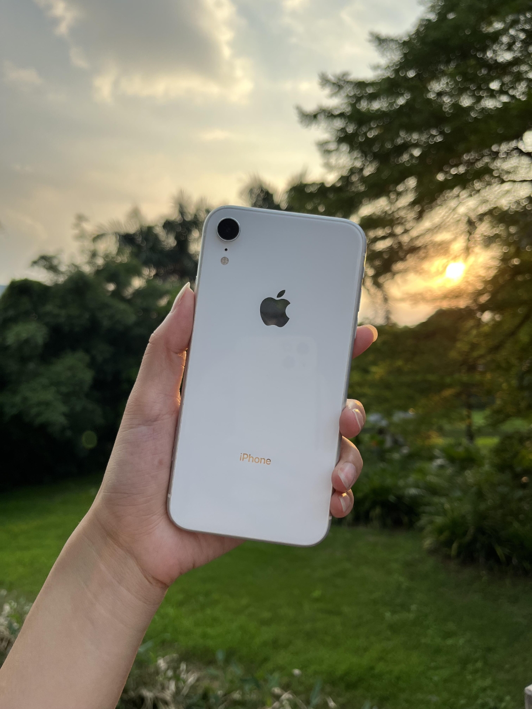 苹果“最薄iPhone”开售后大卖 但据称今年将减产