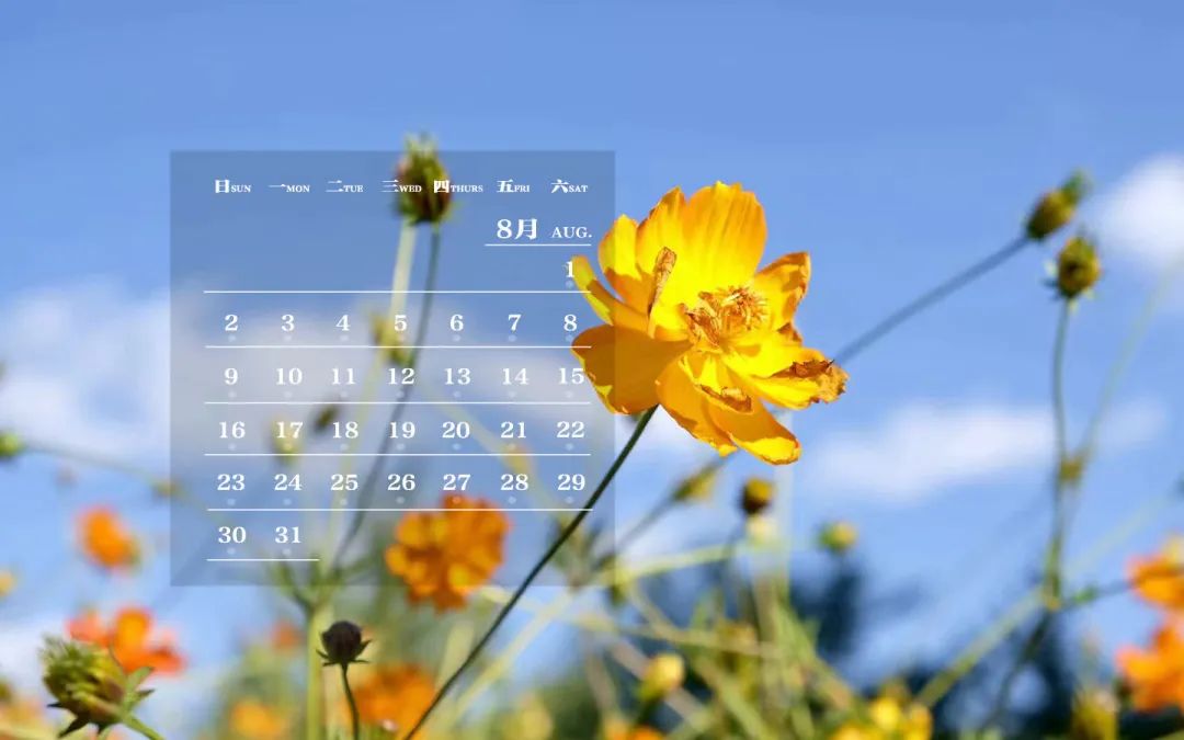 八月的梦游者，看见过夜里的太阳”臧鹏. 作品展