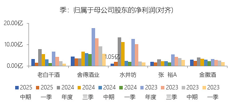 武商集团：2025年中期业绩位居前列