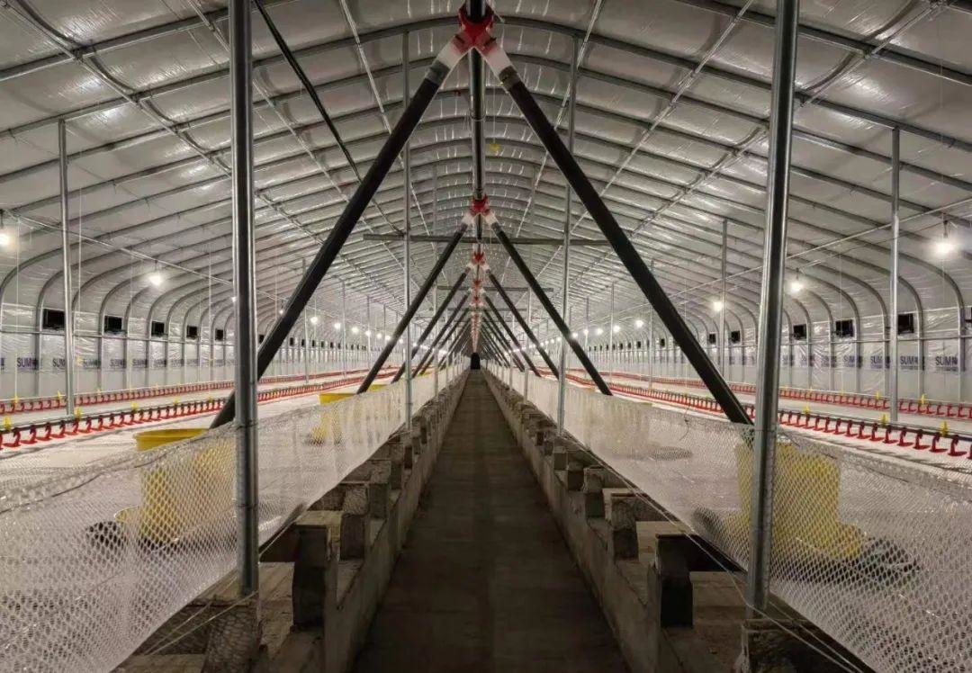 华英农业(002321)2025年三季报简析:增收不增利,公司应收账款体量较大