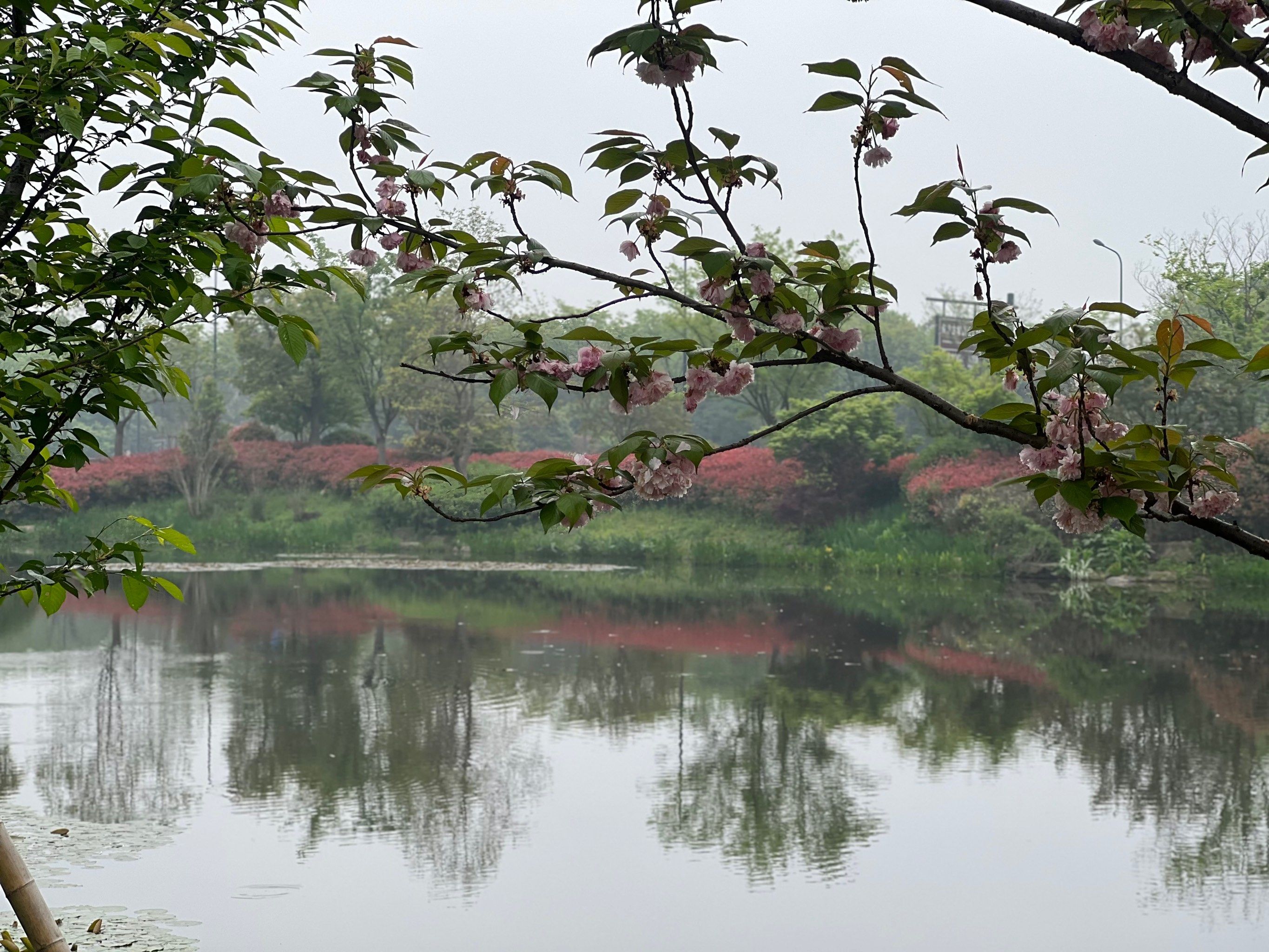 五千年中华文明第一城:说良渚遗址