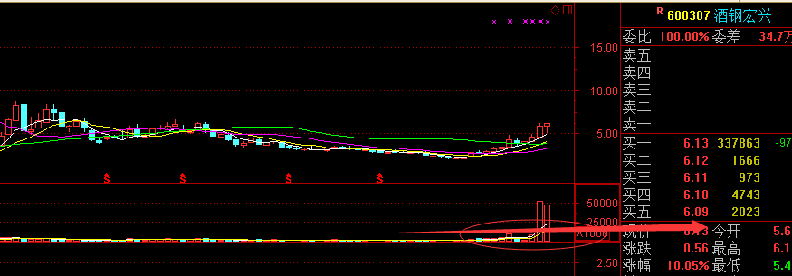 酒钢宏兴(600307.SH)：选举杜昕为董事长