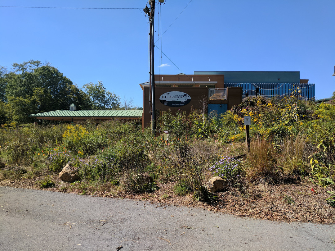 博伊斯在中国：2013�C2025回顾展