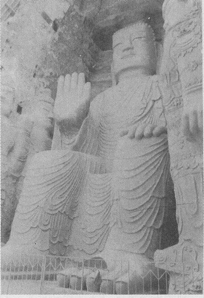 靠几张黑白远景照，他为大佛“重塑”面容