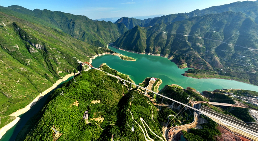 重庆上线全国首个数字分保平台，首批项目辐射11省