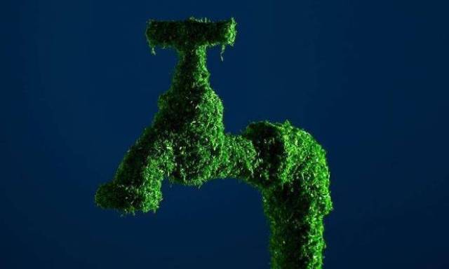 改革“绿色税制”，为环保责任补足漏洞