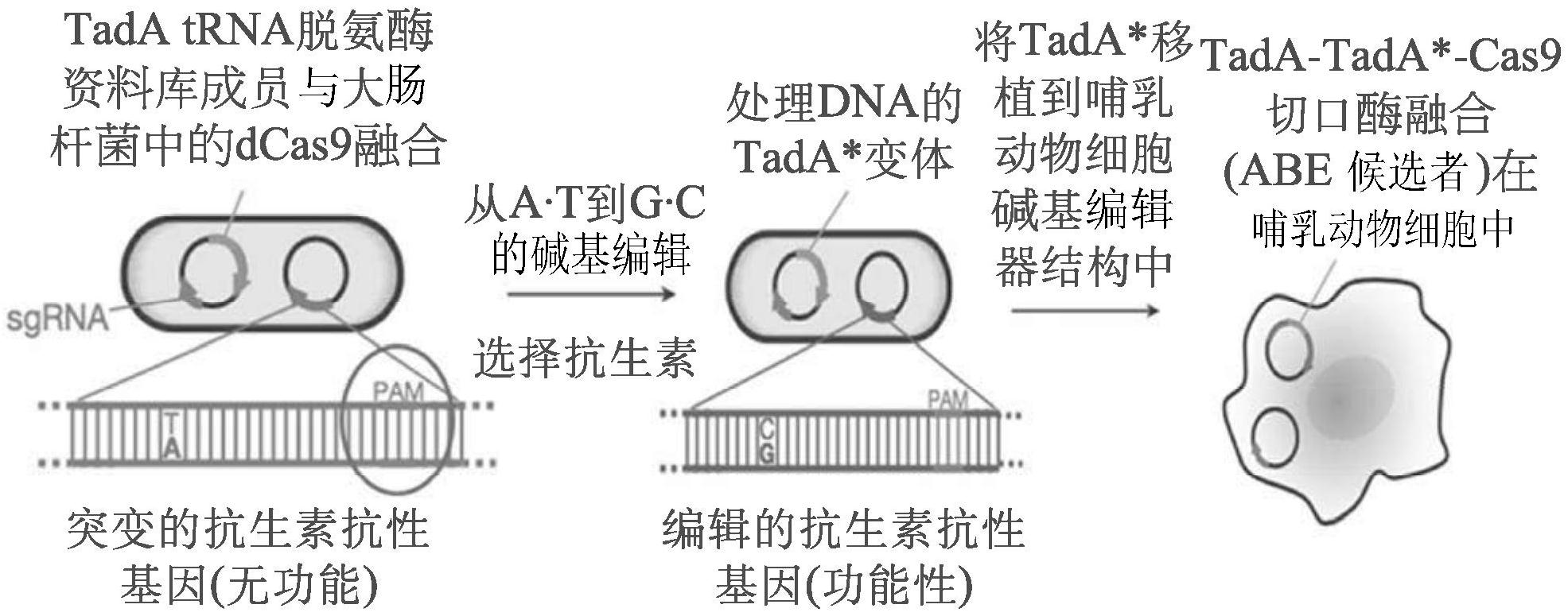 康泰医学获得实用新型专利授权：“止痒仪”