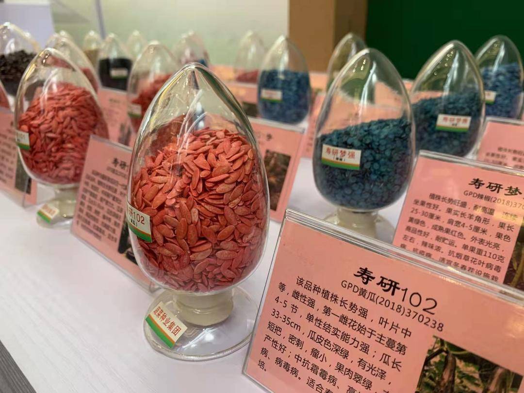 守护农业“中国芯” 千亿种业安全受关注