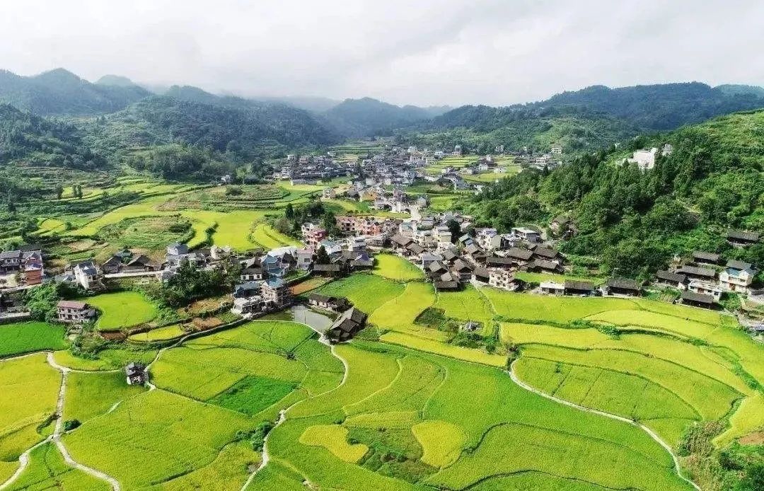 辽宁省厅调研耕地开垦费标准调整及补充耕地指标调剂管理工作