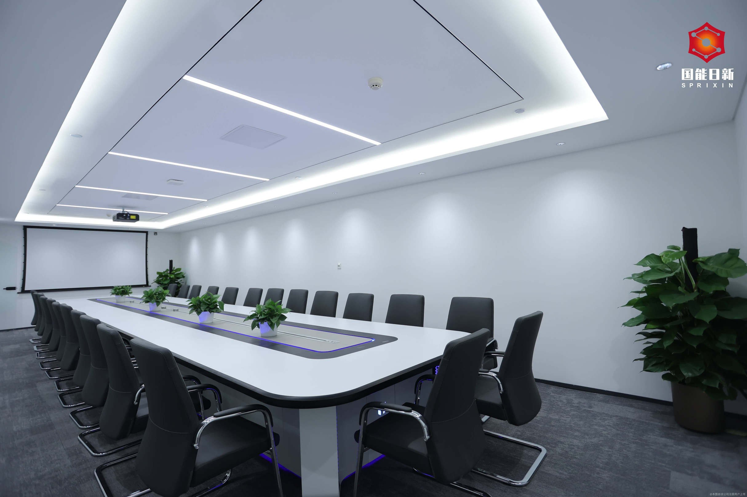 国能日新披露总额826.1万元的对外担保，被担保方为如皋睿能新能源有限公司