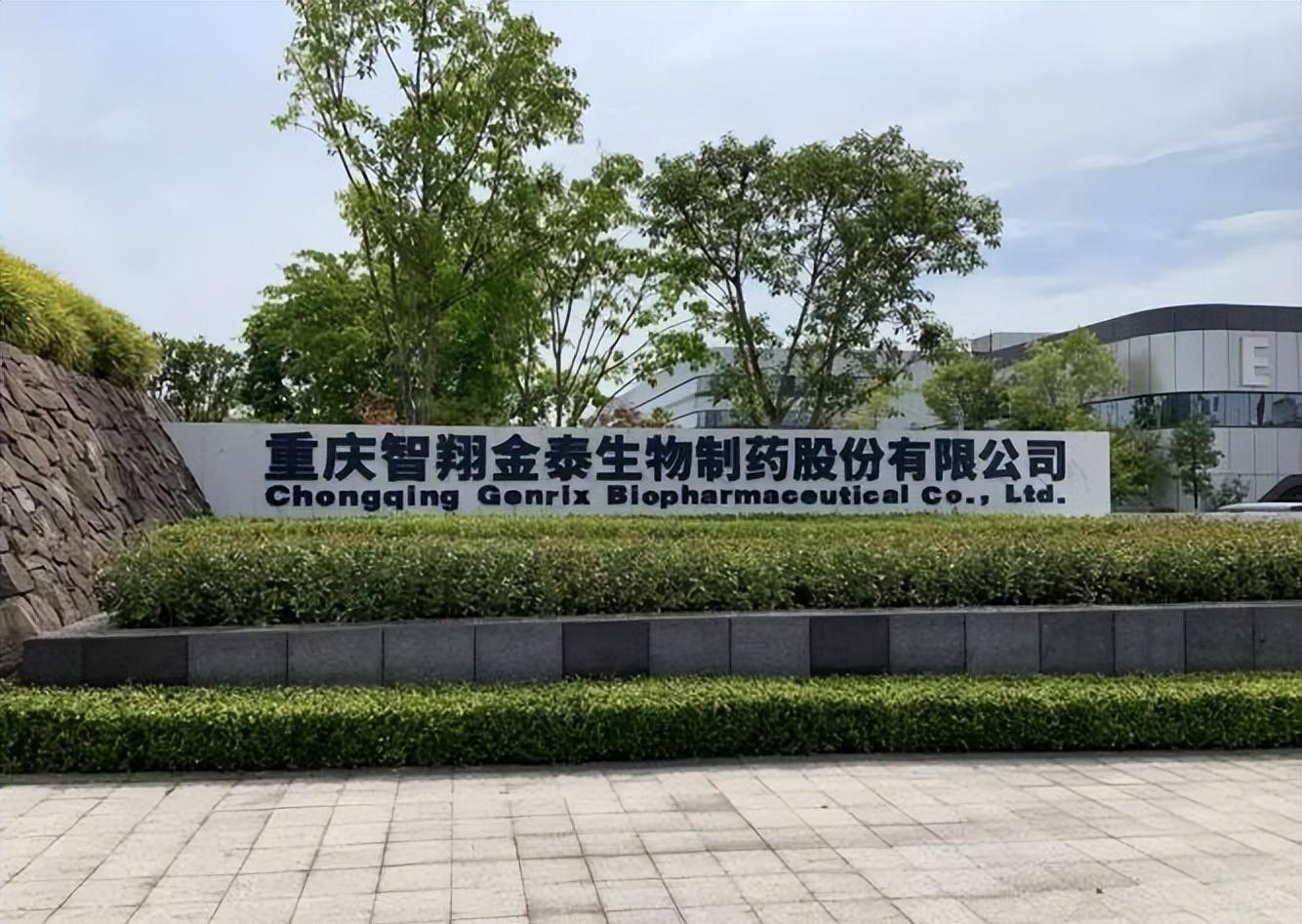 “三无公司”从无到有仍连亏5年，泽�Z制药又要出海？