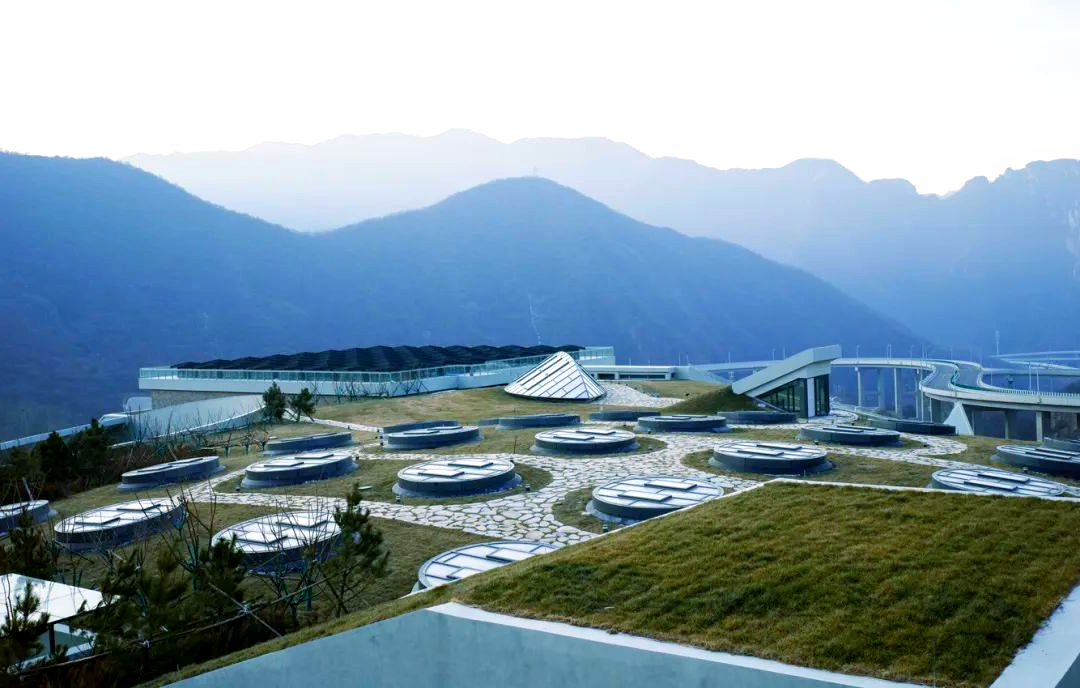 强生周敏涛：不再只靠自己创新 正全面融入中国创新生态