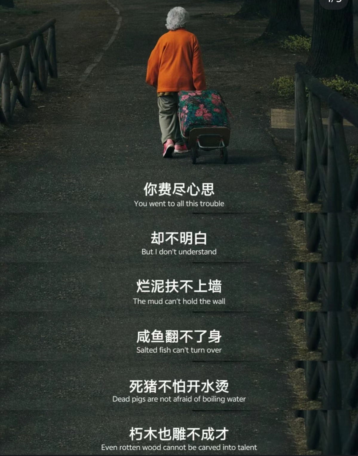 电影业不改变，年轻人退场将更坚决