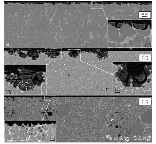 星源卓镁:拥有JSW品牌半固态注射设备