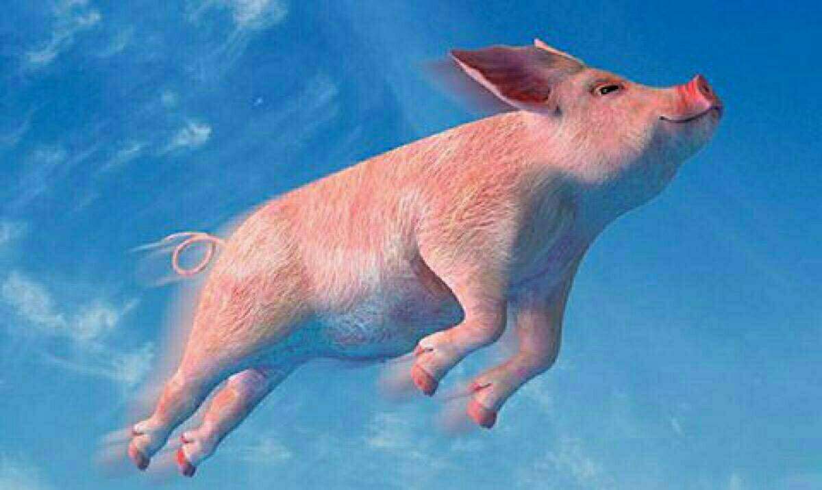 从等风来到风口之上，一家飞控系统公司的五年