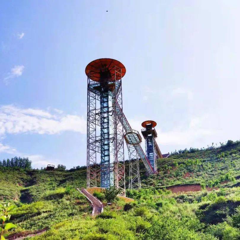 冠中生态：国防军事伪装是生态修复技术的拓展应用