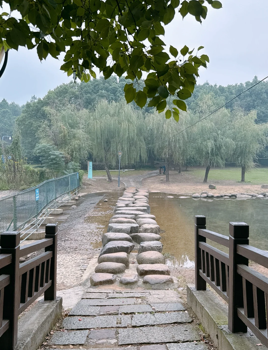 秘色越瓯出上林：访慈溪上林湖越窑博物馆