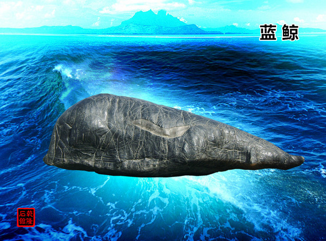 陆挺预测“十五五”出口增速或明显回落，但斌直言“投资要去大海里打鲸鱼”