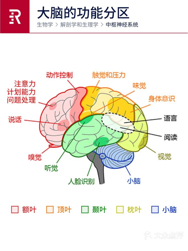心理学有个词叫：课题分离（一个帮你解决90%烦恼的顶级思维）