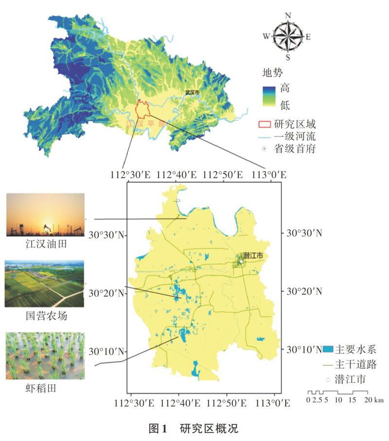 地产微观：数据透视与结构格局