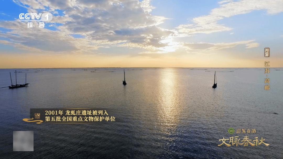 虬龙飞腾，文明之光：访高邮龙虬庄遗址