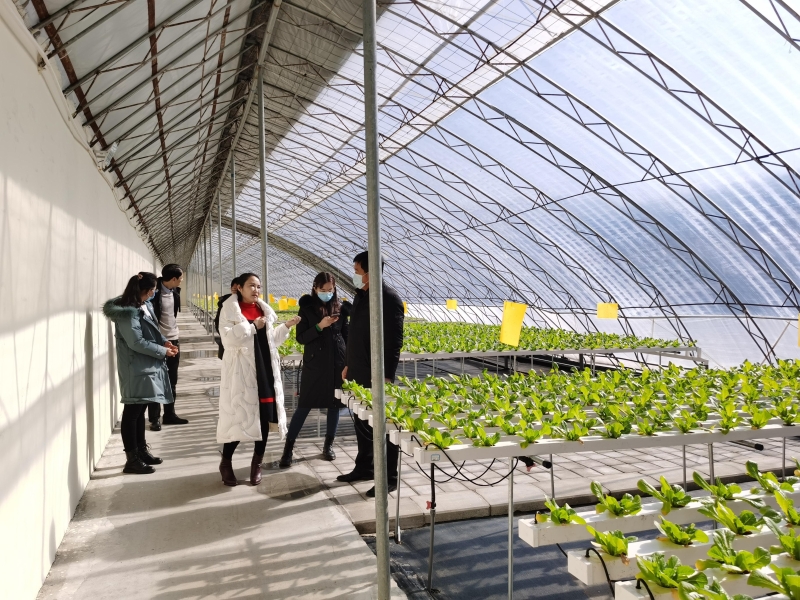 诺华回应县域团队解散传闻：将调整业务运营模式