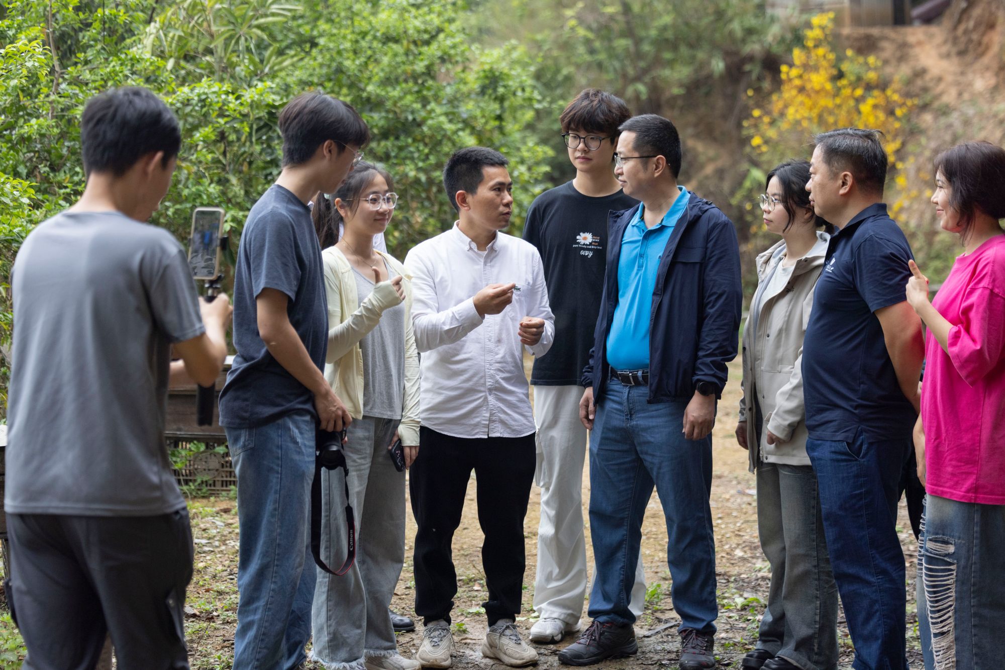 诺华回应县域团队解散传闻：将调整业务运营模式