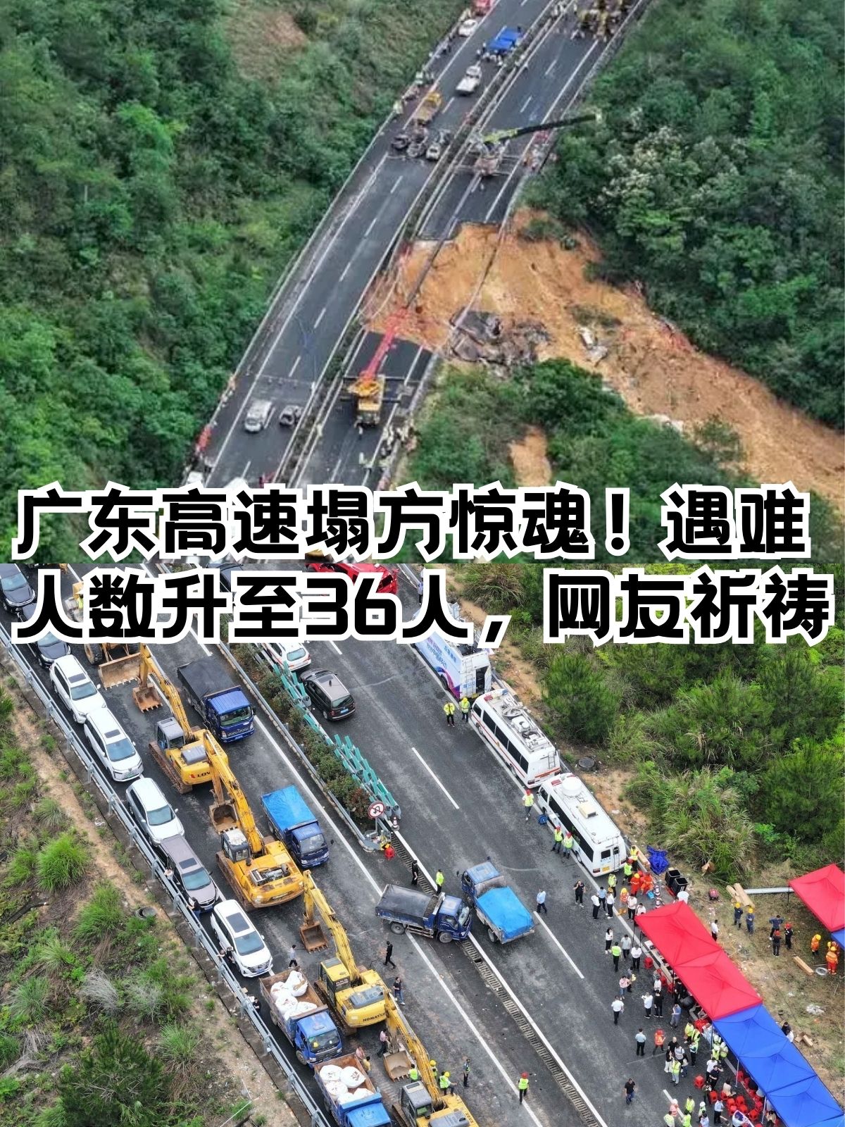 美联新材：截至11月28日股东户数为23,798户