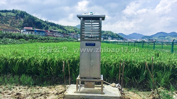 托普云农：12月10日股东人数为11825户