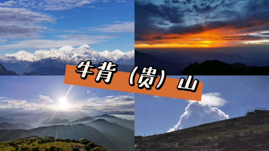 罗 牛 山：截至2025年12月10日股东户数约为9.31万户