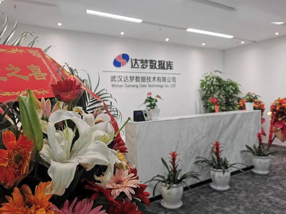 达梦数据董事兼总经理皮宇被解除留置