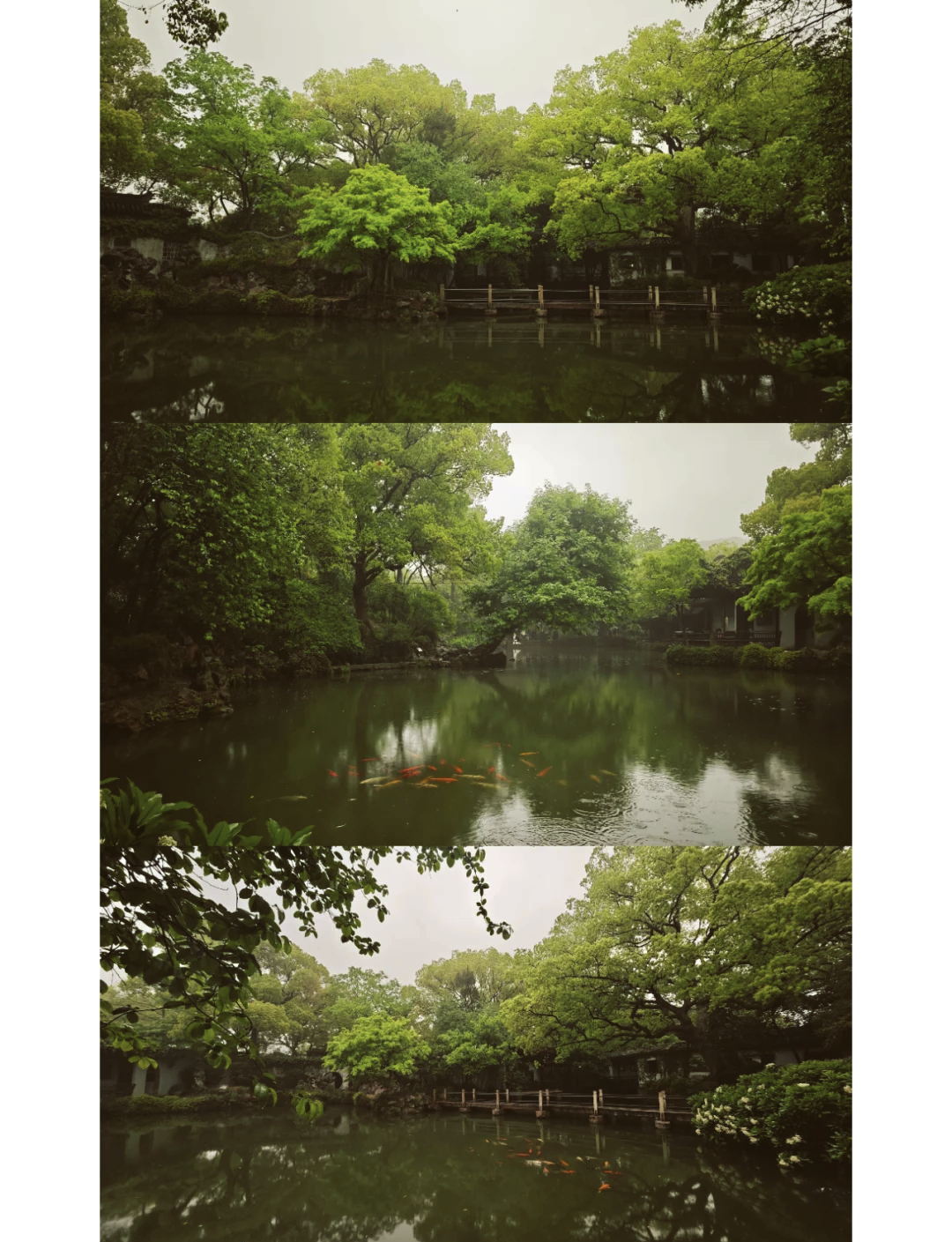 寄畅园：一座园林里的文明密码