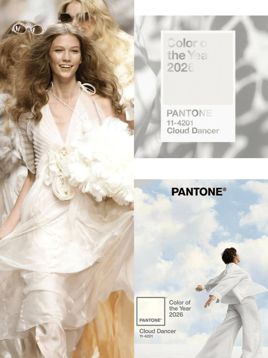 Pantone 发布 2026 年度流行色「云上舞白」