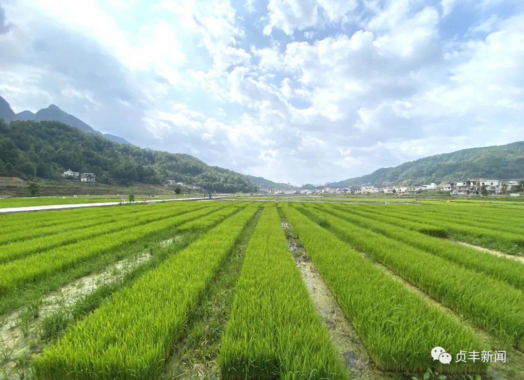 富邦科技：推进“天生旦”百万亩科技助农示范项目落地