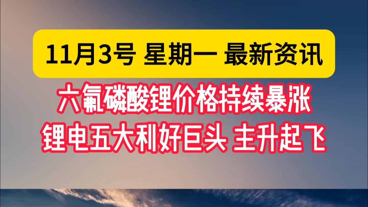 锂电巨头踏上“远征路”