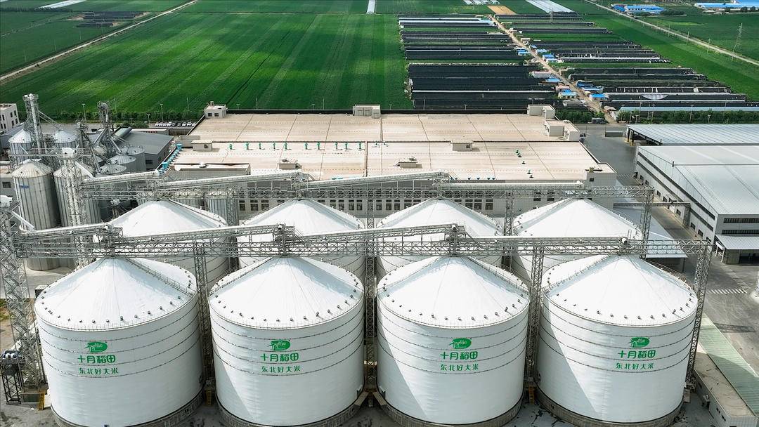 重磅官宣！“港交所科技100”指数推出，“含科量”拉满！